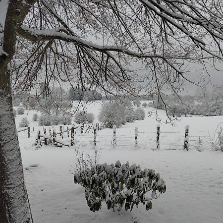 Abri De Jardin Villa Vielsalm Exteriör bild