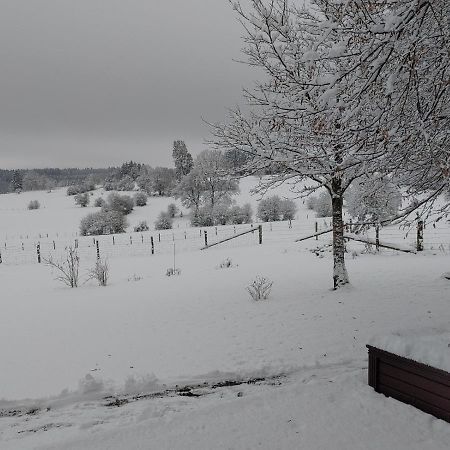 Abri De Jardin Villa Vielsalm Exteriör bild