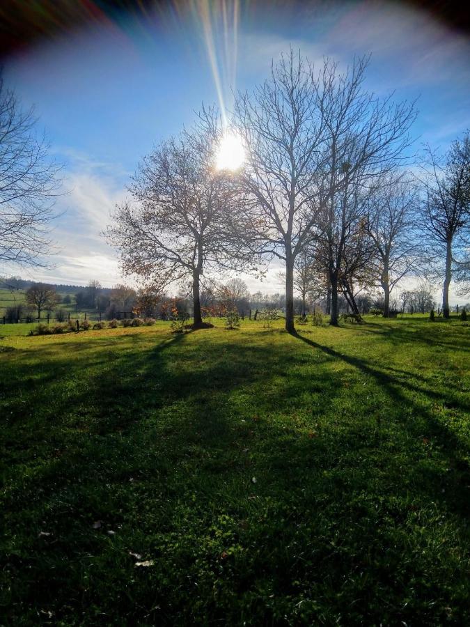 Abri De Jardin Villa Vielsalm Exteriör bild