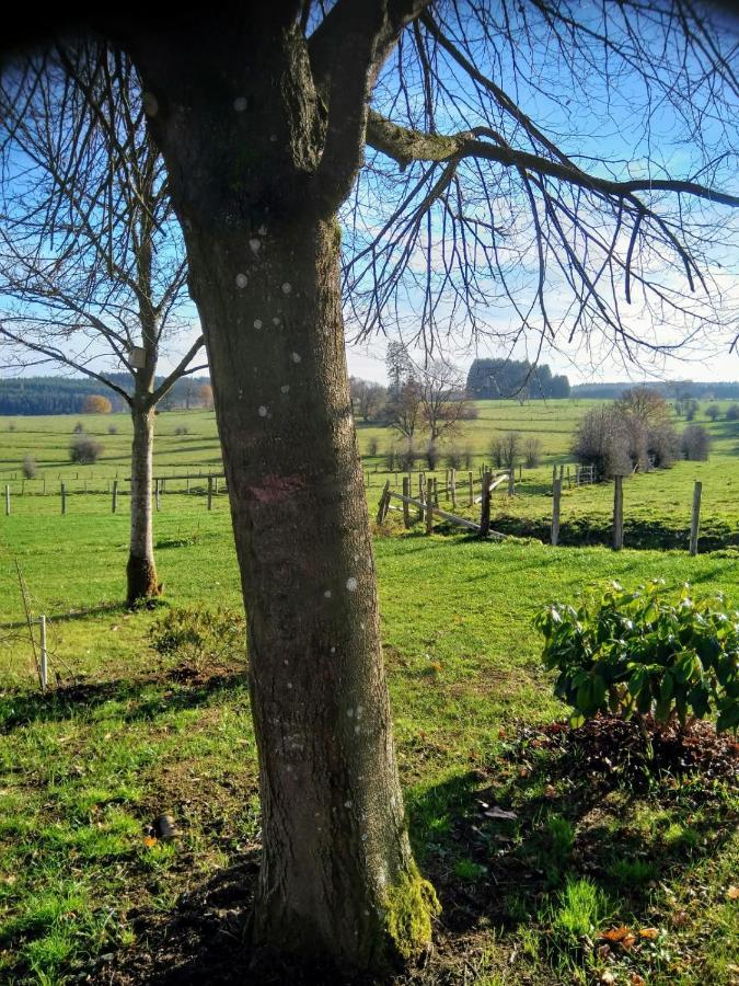 Abri De Jardin Villa Vielsalm Exteriör bild