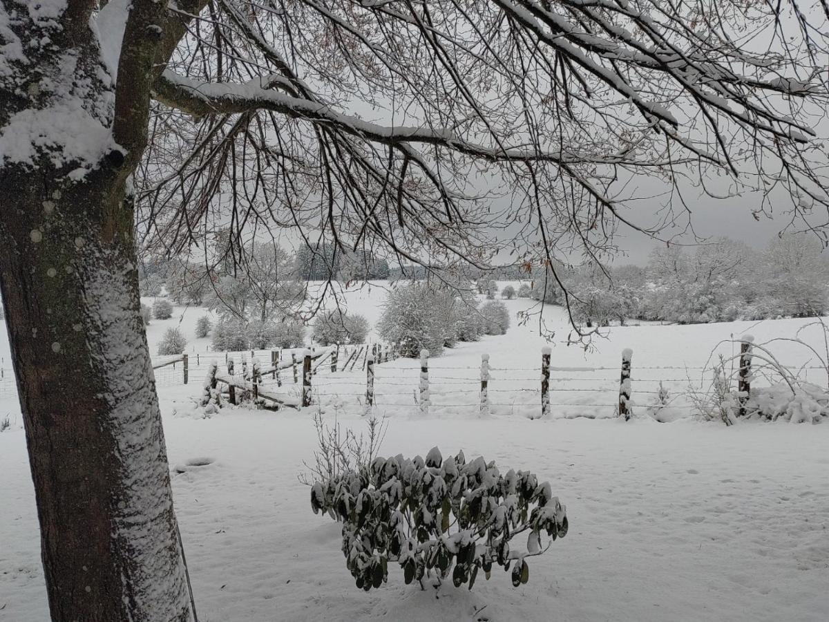 Abri De Jardin Villa Vielsalm Exteriör bild