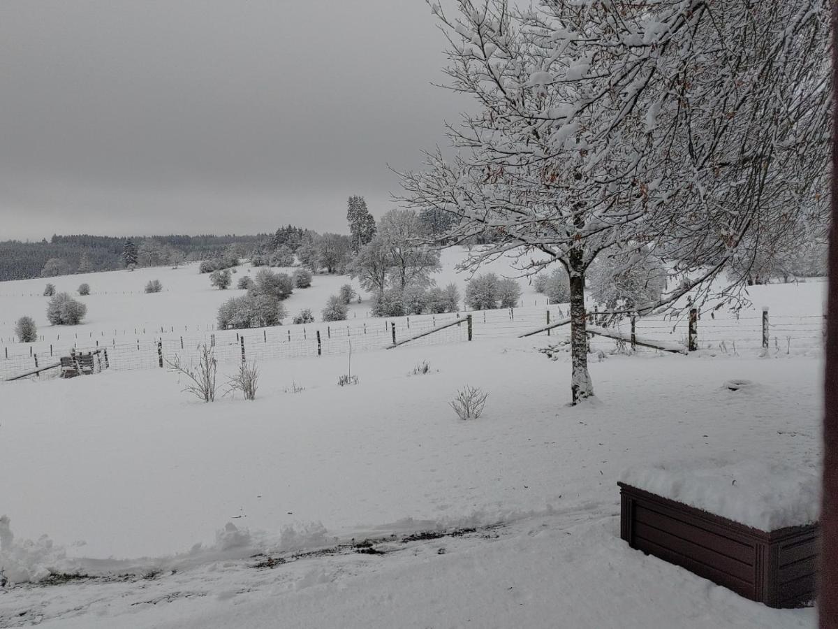 Abri De Jardin Villa Vielsalm Exteriör bild