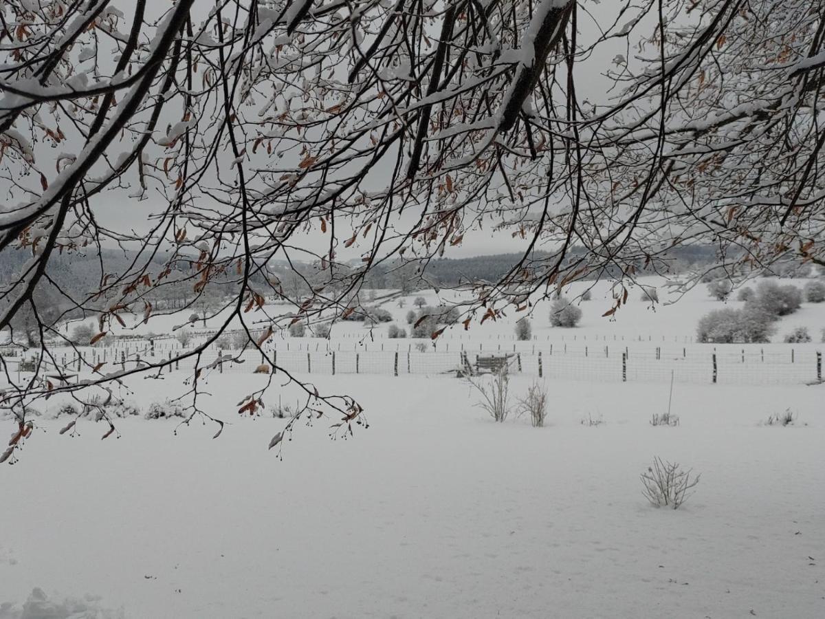 Abri De Jardin Villa Vielsalm Exteriör bild
